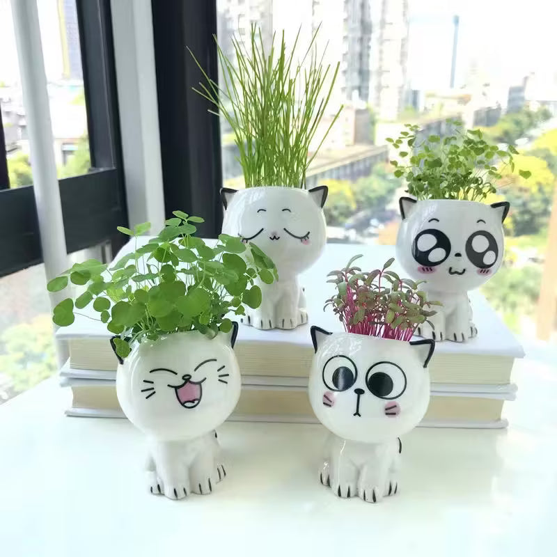Ceramic Cat Cartoon Planters