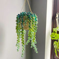 Crystal Hanging Planter